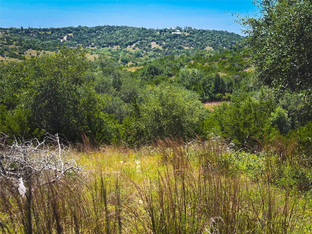 151 Falling Oak Drive Blanco, TX 78606