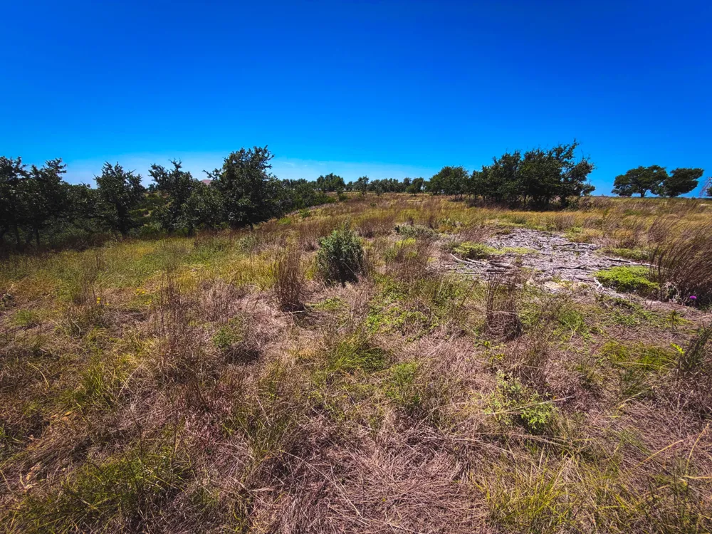 151 Falling Oak Drive Blanco, TX 78606
