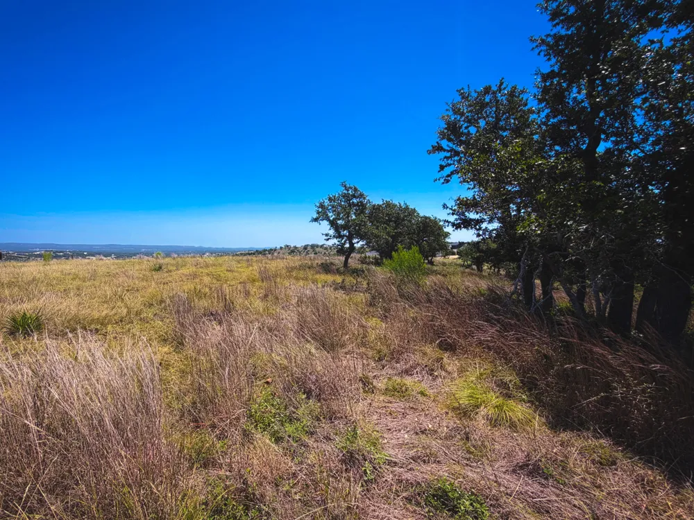 151 Falling Oak Drive Blanco, TX 78606