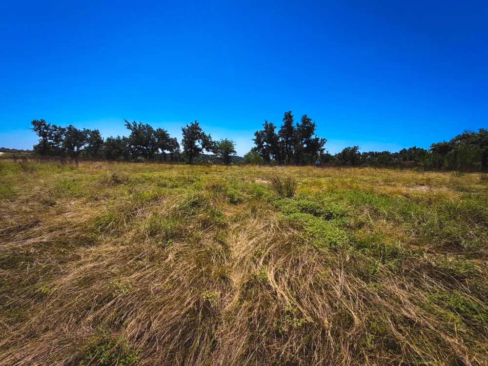 151 Falling Oak Drive Blanco, TX 78606