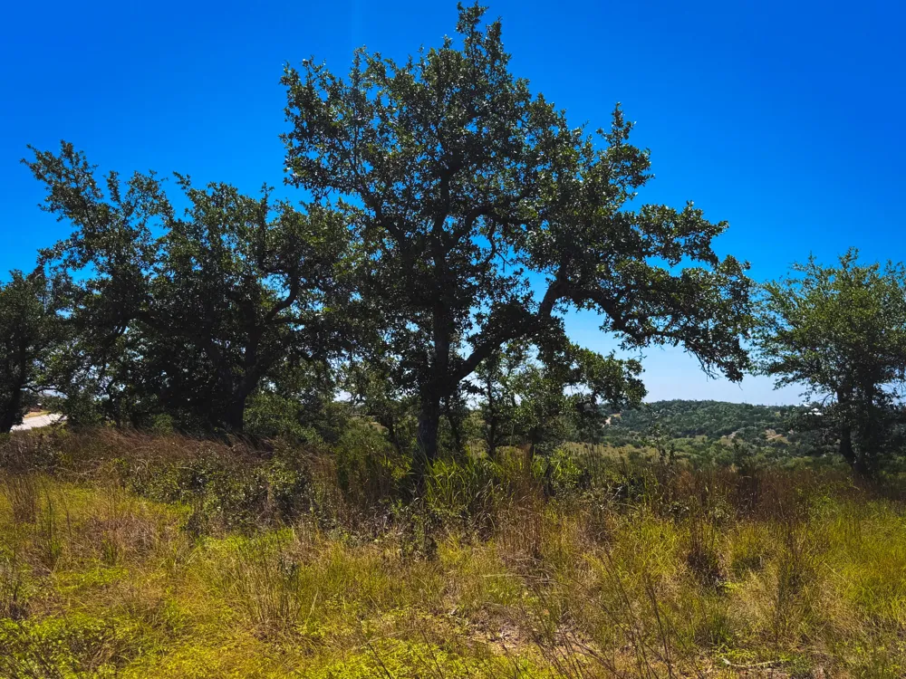 151 Falling Oak Drive Blanco, TX 78606