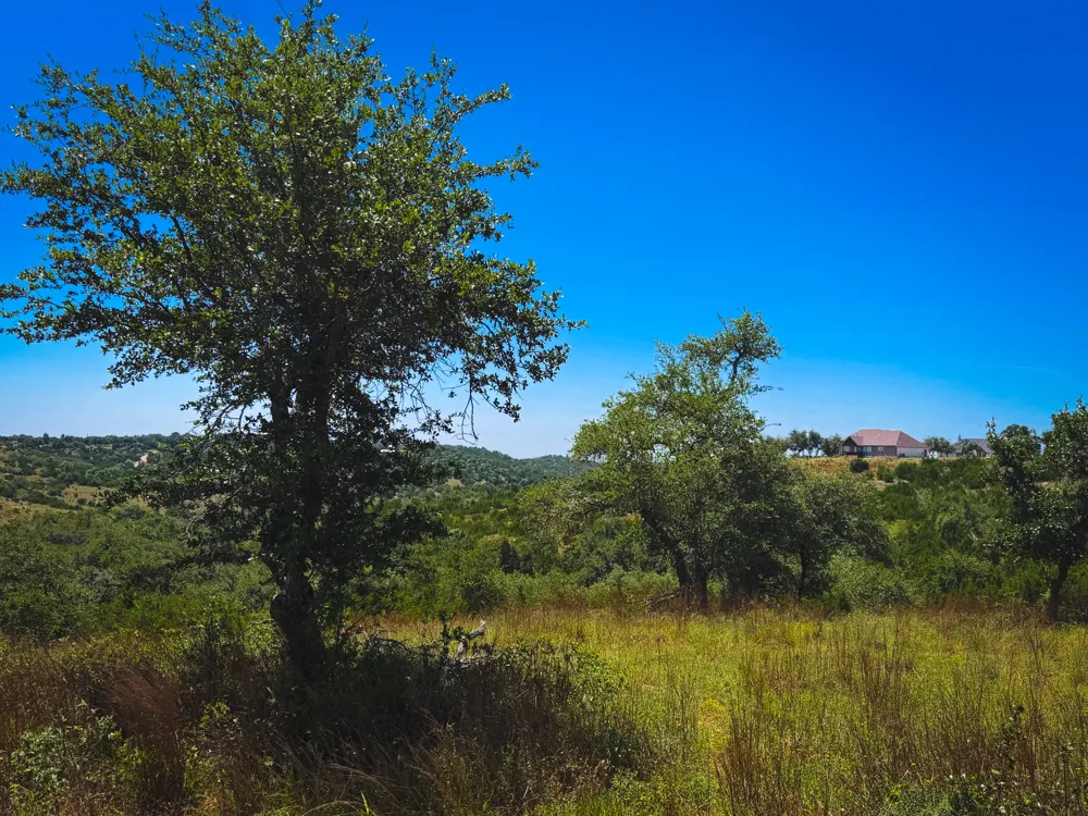 151 Falling Oak Drive Blanco, TX 78606