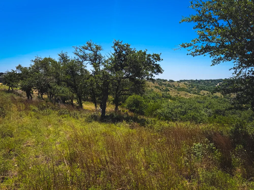 151 Falling Oak Drive Blanco, TX 78606