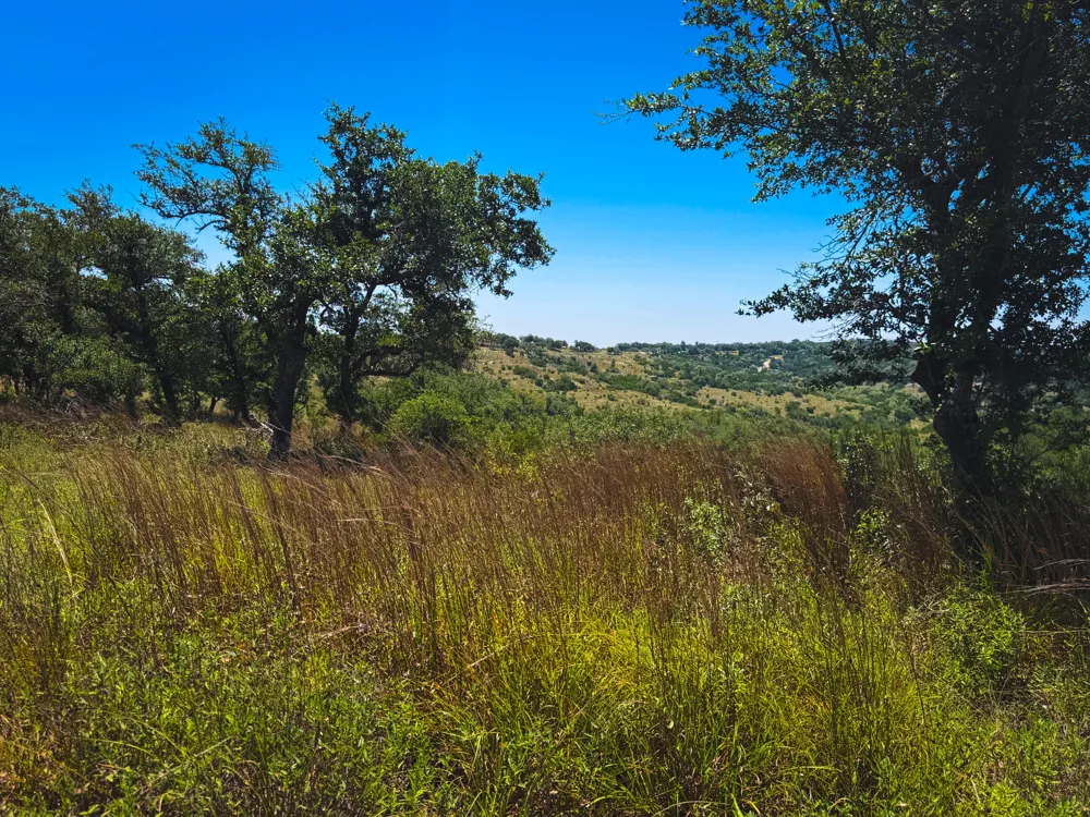 151 Falling Oak Drive Blanco, TX 78606