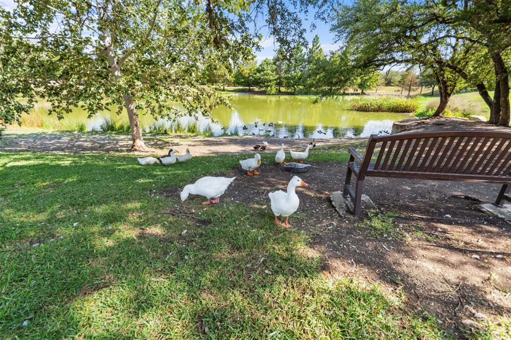 170 Kinloch Court Austin, TX 78737