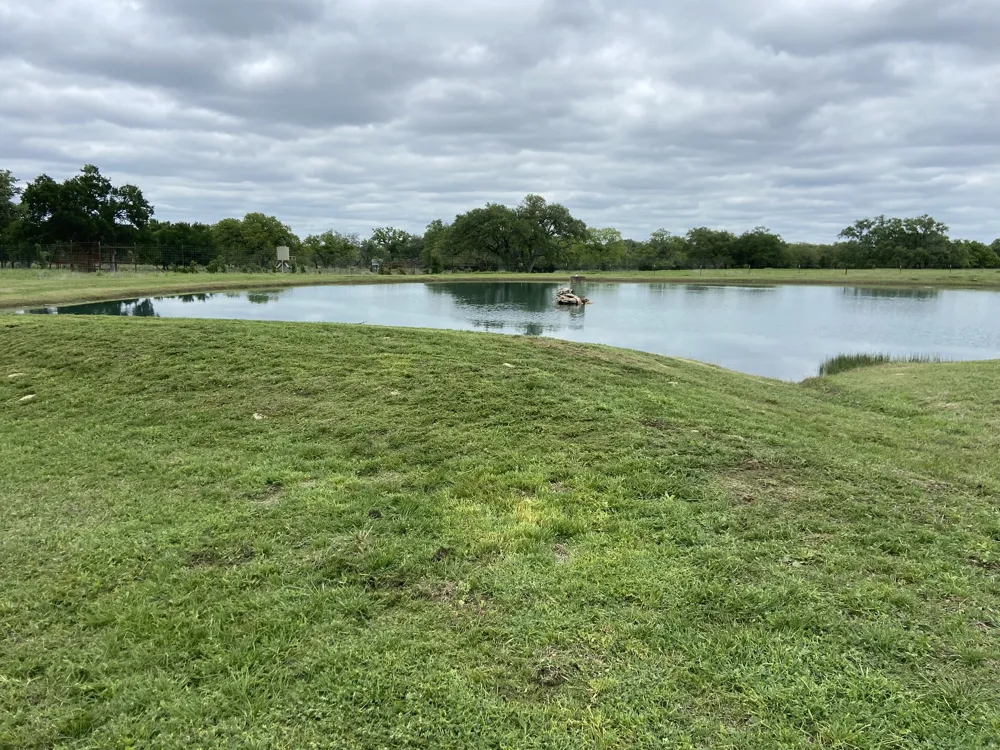 4239 County Road 336 Bertram, TX 78605