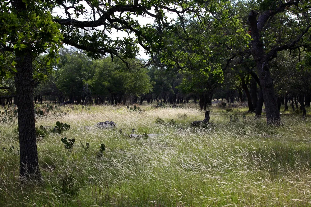 4239 County Road 336 Bertram, TX 78605