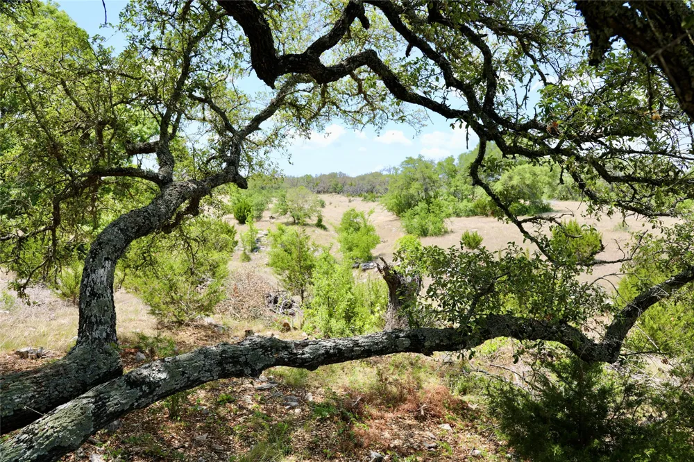 4239 County Road 336 Bertram, TX 78605