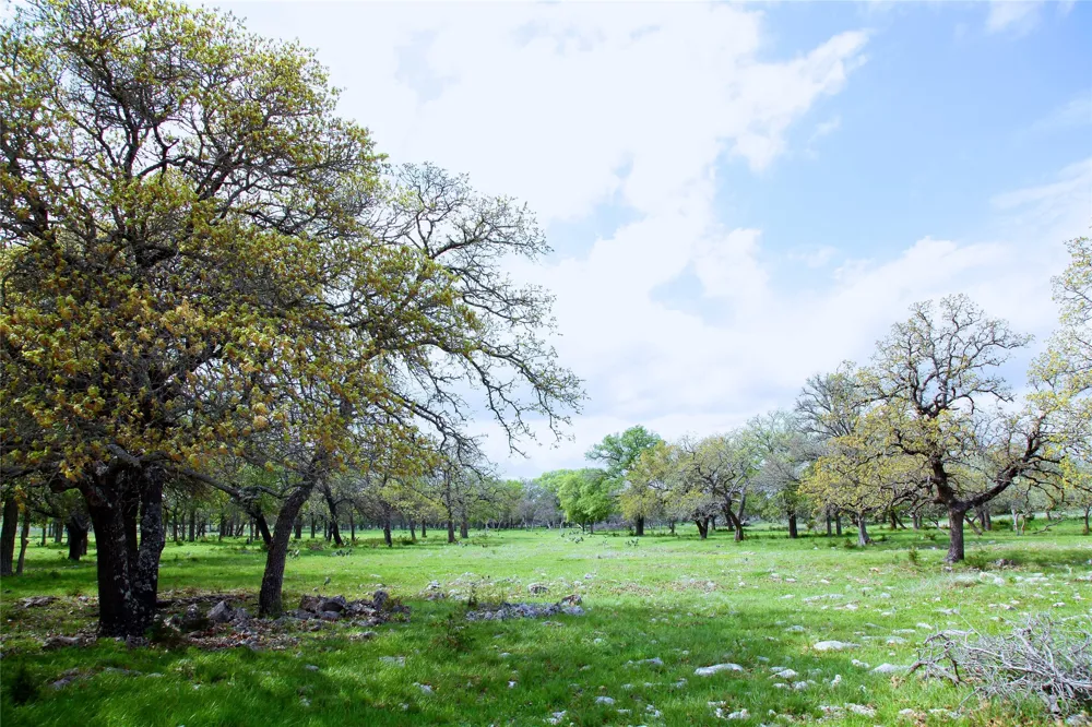 4239 County Road 336 Bertram, TX 78605