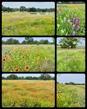 4239 County Road 336 Bertram, TX 78605