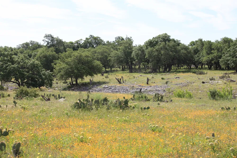 4239 County Road 336 Bertram, TX 78605