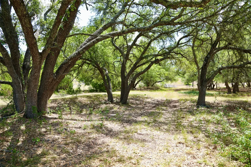 4239 County Road 336 Bertram, TX 78605