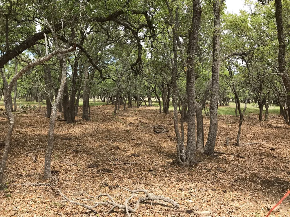 4239 County Road 336 Bertram, TX 78605