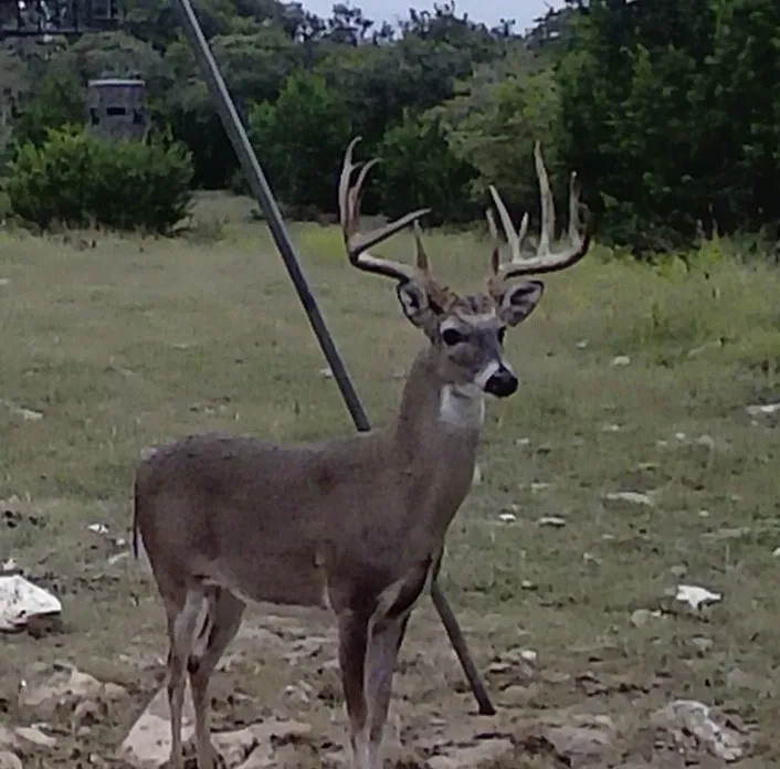 4239 County Road 336 Bertram, TX 78605
