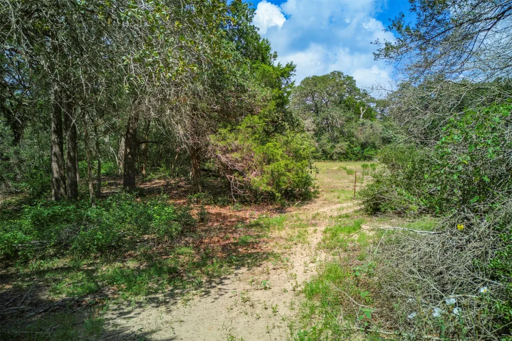 1156 County Road 437 Harwood, TX 78632