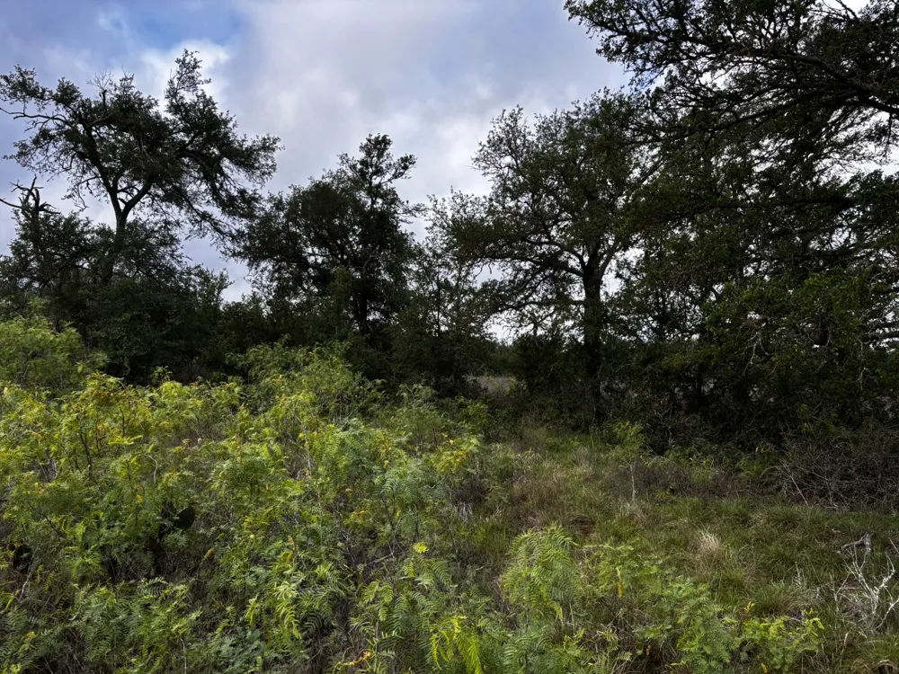 615 County Road 467 Thrall, TX 76578