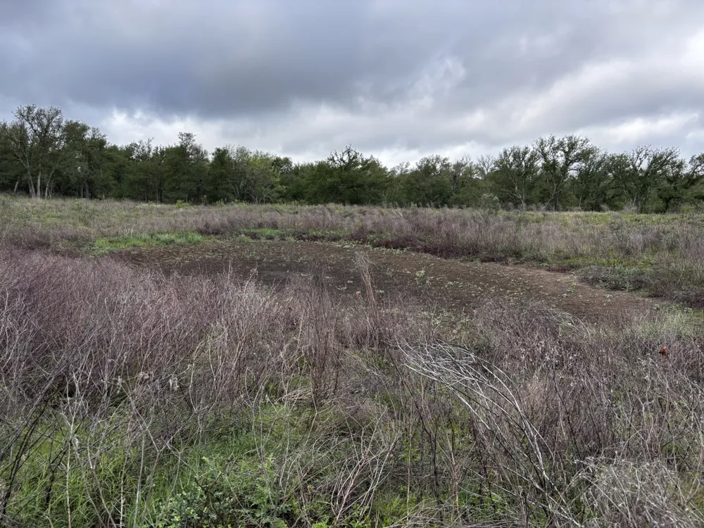 615 County Road 467 Thrall, TX 76578