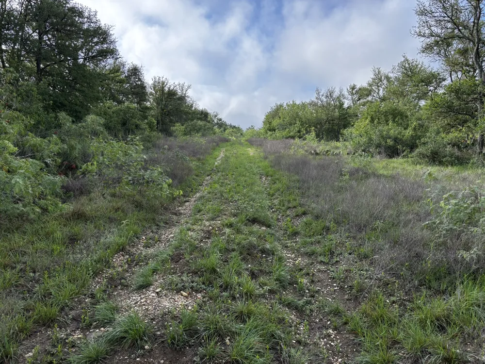 615 County Road 467 Thrall, TX 76578