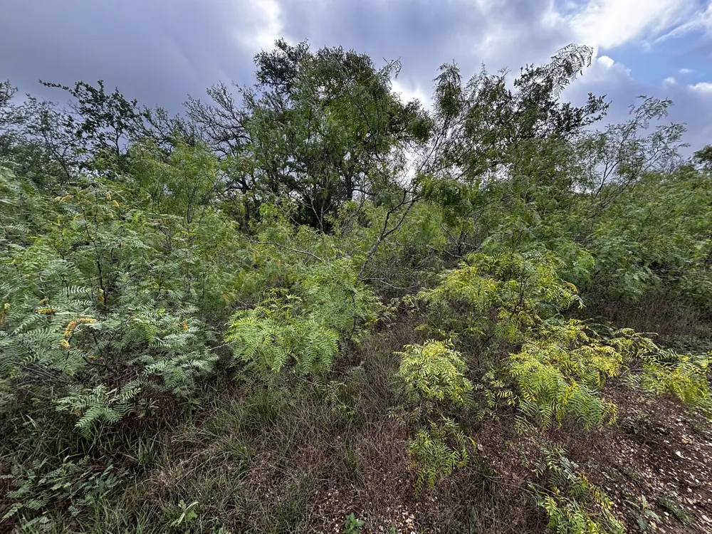 615 County Road 467 Thrall, TX 76578