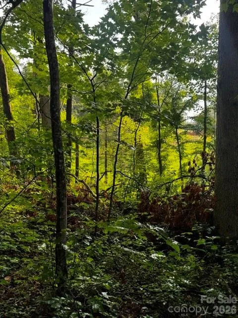 00000 Monticello Road Weaverville, NC 28787