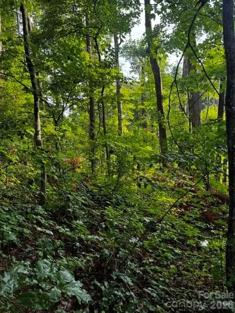 00000 Monticello Road Weaverville, NC 28787