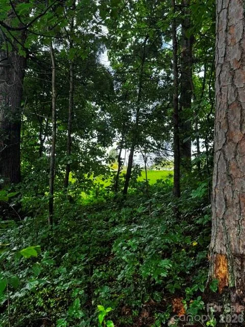 00000 Monticello Road Weaverville, NC 28787