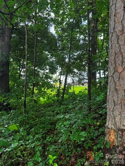 00000 Monticello Road Weaverville, NC 28787