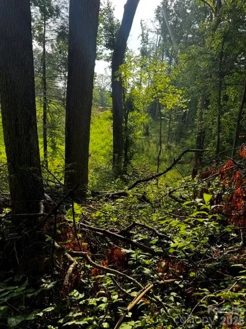 00000 Monticello Road Weaverville, NC 28787