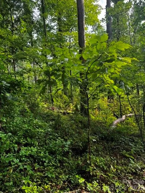 00000 Monticello Road Weaverville, NC 28787
