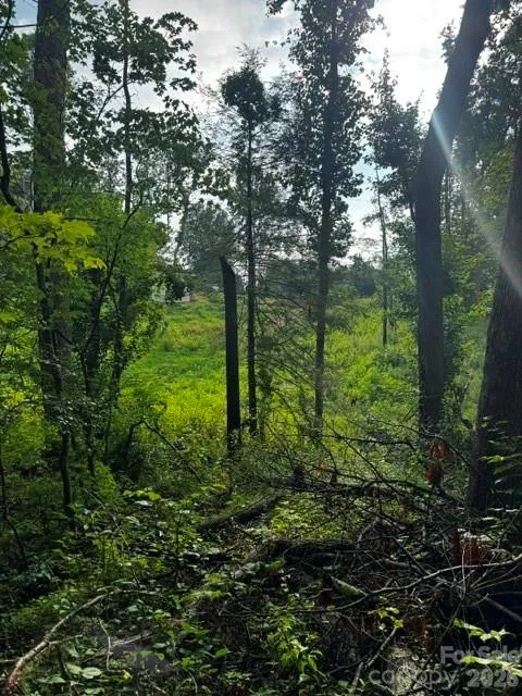 00000 Monticello Road Weaverville, NC 28787