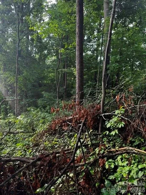 00000 Monticello Road Weaverville, NC 28787