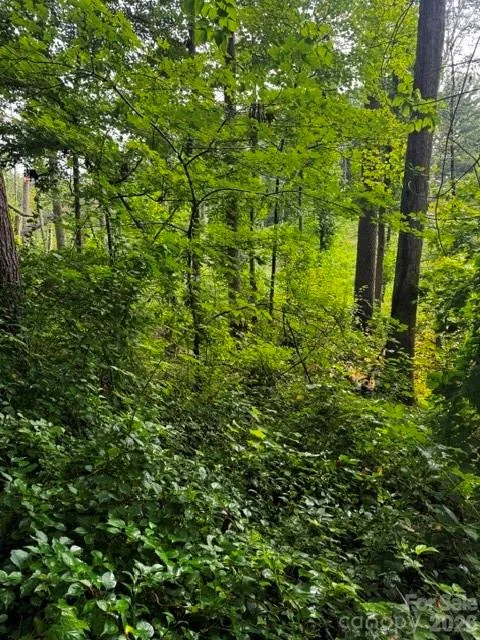 00000 Monticello Road Weaverville, NC 28787