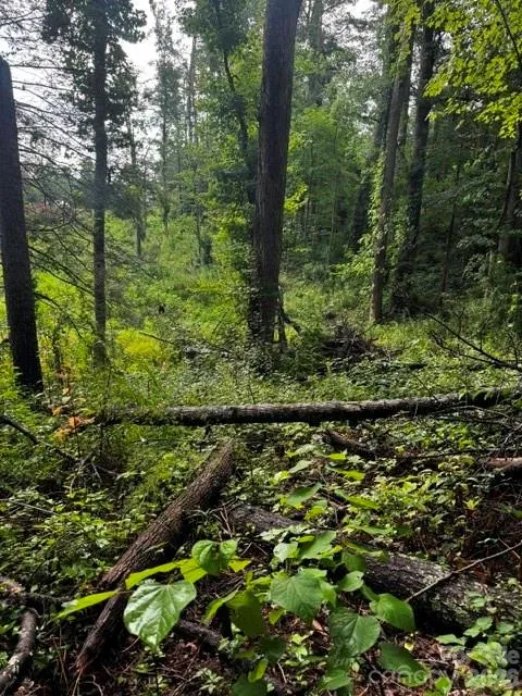 00000 Monticello Road Weaverville, NC 28787