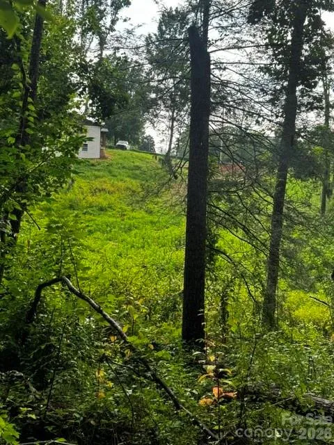 00000 Monticello Road Weaverville, NC 28787
