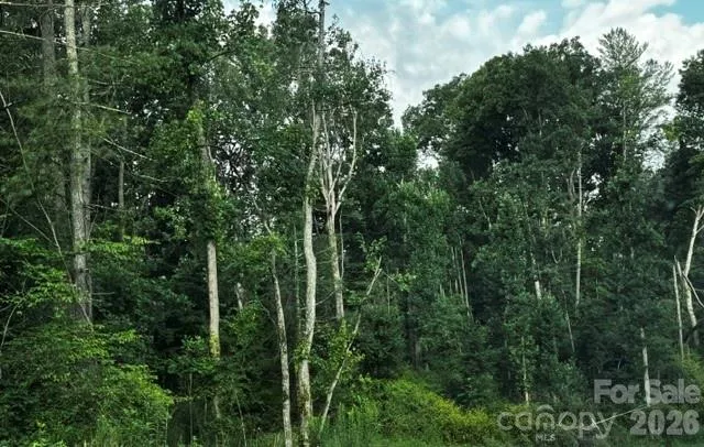 00000 Monticello Road Weaverville, NC 28787