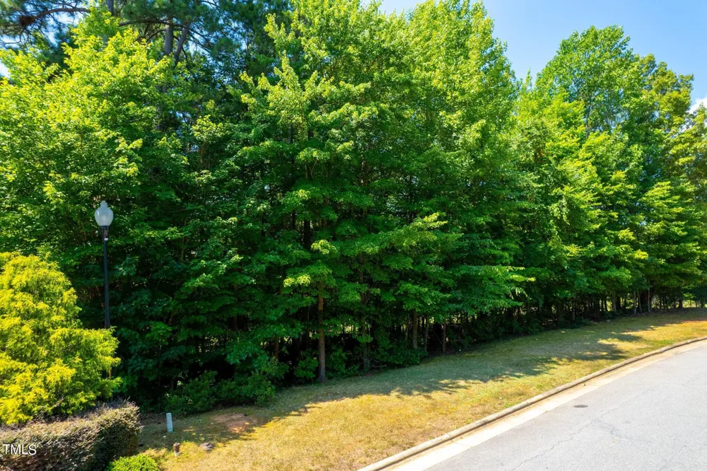 108 Eden Glen Drive Holly Springs, NC 27540