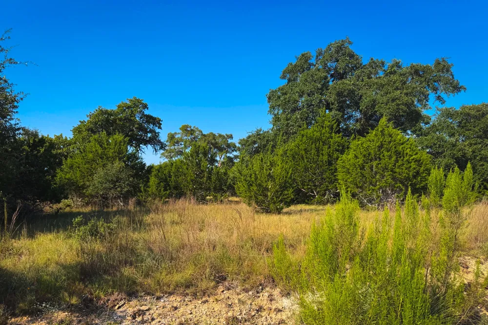 380 S Calvin Barrett Road Blanco, TX 78606