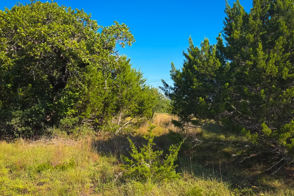 380 S Calvin Barrett Road Blanco, TX 78606