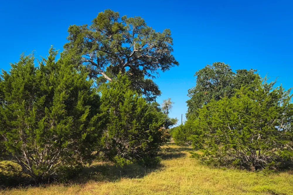 380 S Calvin Barrett Road Blanco, TX 78606