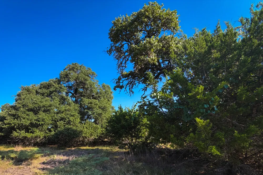380 S Calvin Barrett Road Blanco, TX 78606