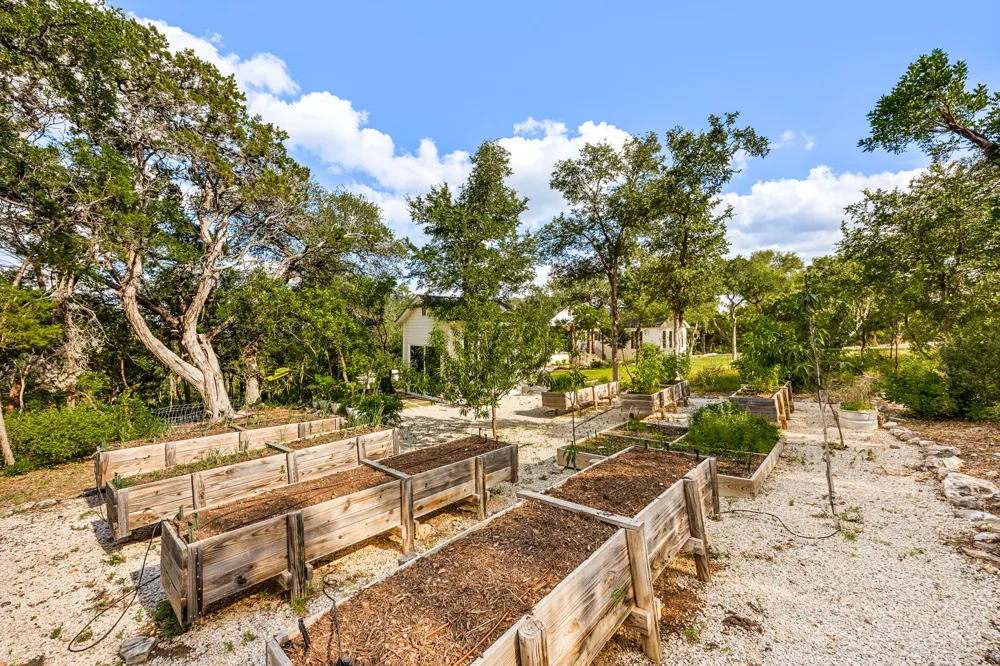 359 Ash Juniper Drive New Braunfels, TX 78132