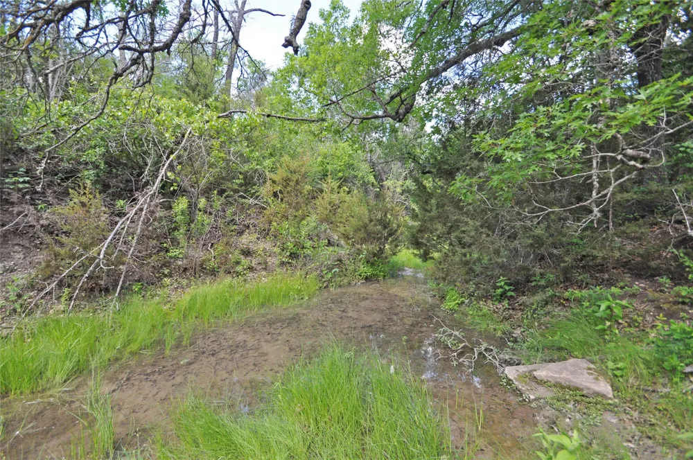 County Road 287 Liberty Hill, TX 78642