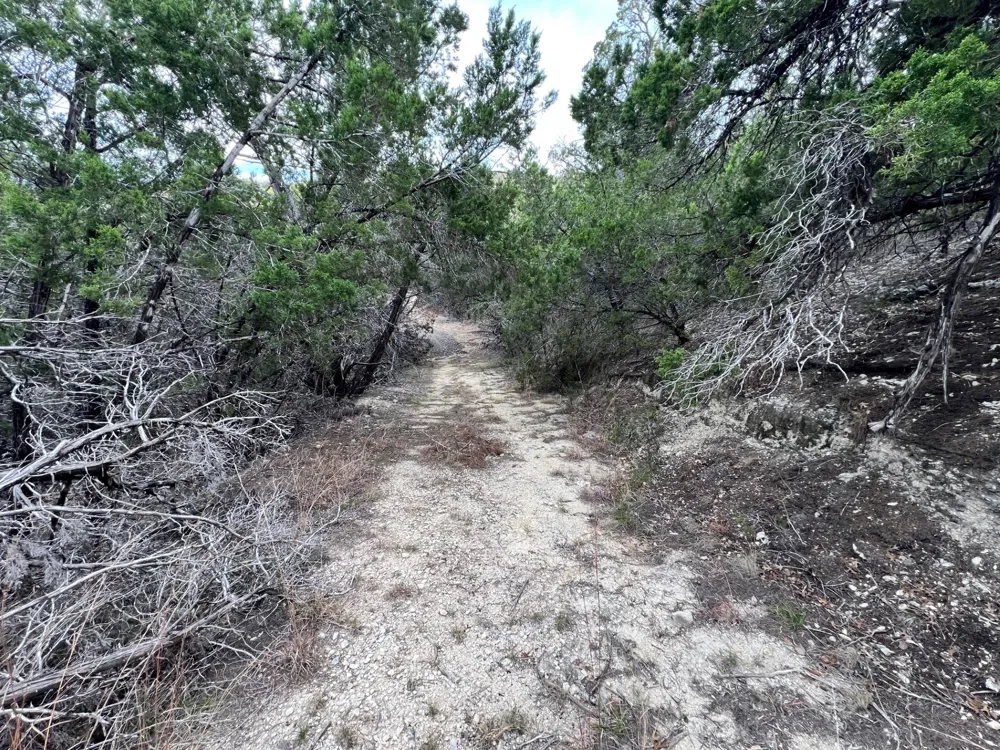 E Reed Parks Road Jonestown, TX 78645