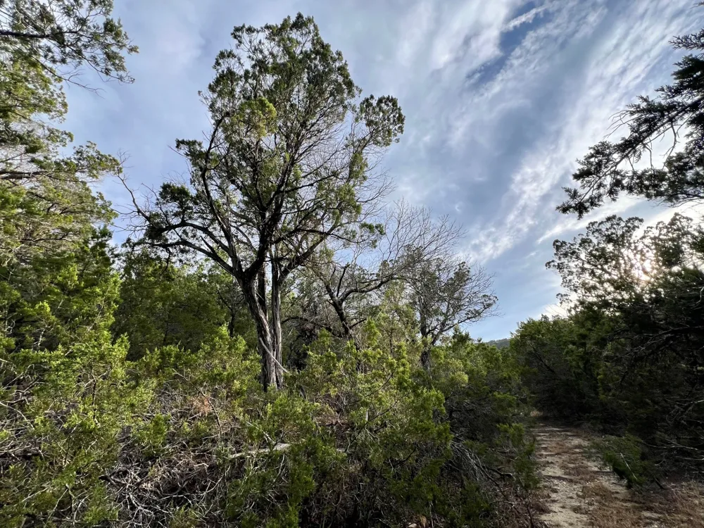 E Reed Parks Road Jonestown, TX 78645