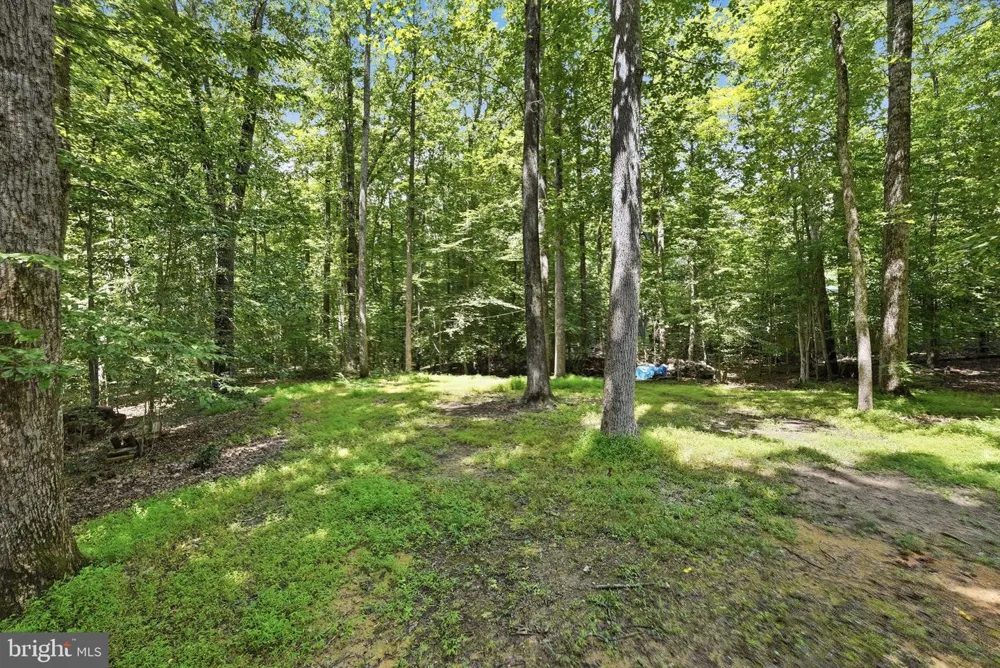 8109 COUNSELOR ROAD Manassas, VA 20112