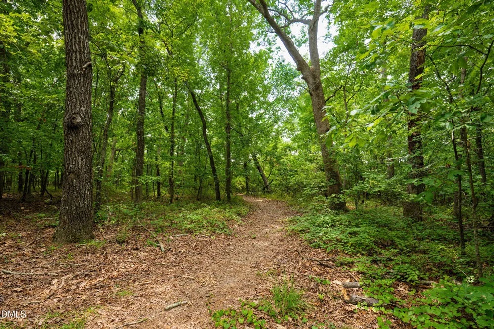0 Palomino Drive Sanford, NC 27330