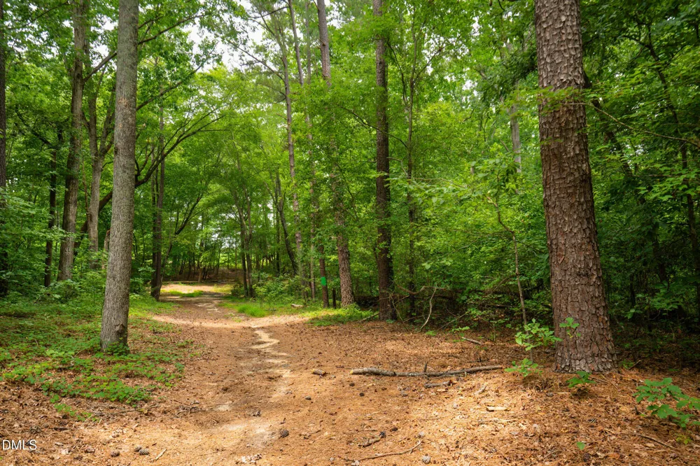 0 Palomino Drive Sanford, NC 27330