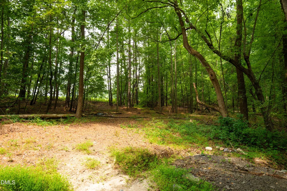0 Palomino Drive Sanford, NC 27330