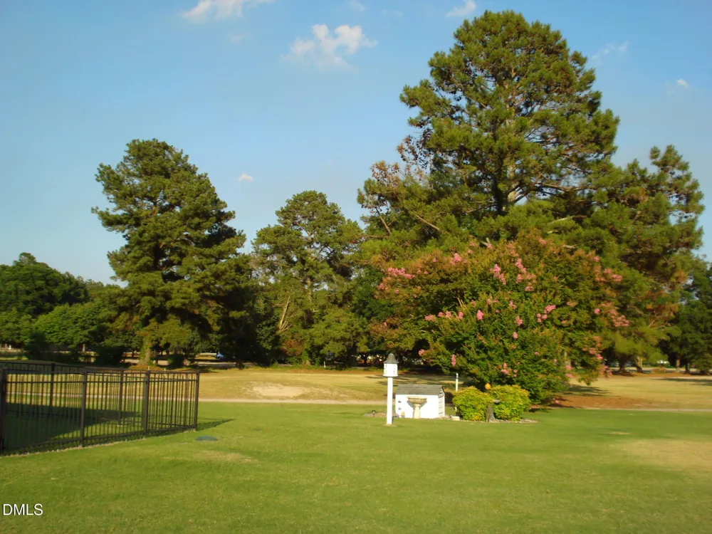 41 Sandy Ridge Road Dunn, NC 28334