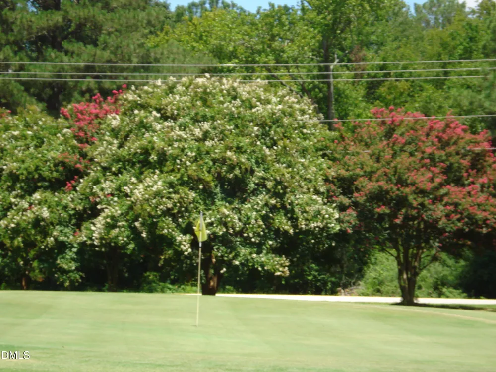41 Sandy Ridge Road Dunn, NC 28334